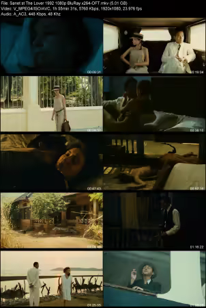 The Lover 1992 1080p BluRay x264-OFT