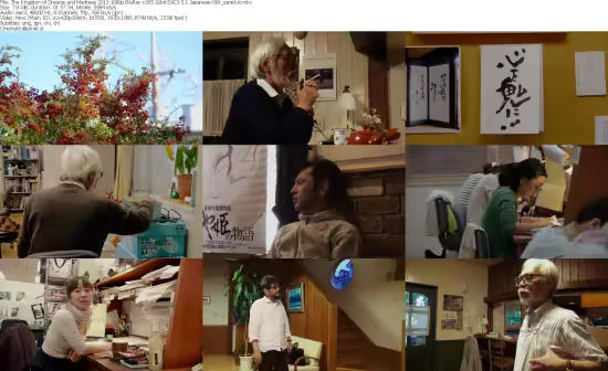 The Kingdom of Dreams and Madness 2013 1080p BluRay x265-r00t