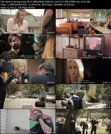 Wrong Cops 2013 1080p MUBI WEB-DL AAC 2.0 H264-GPRS