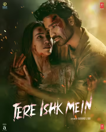 Tere Ishk Mein 2025 1080p NF WEB-DL DD 5.1 H264-playWEB