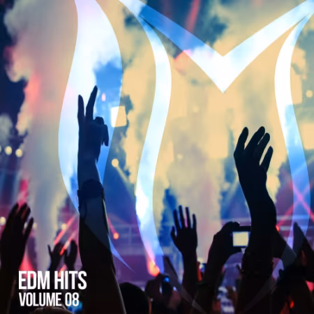 VA - EDM Hits Vol.8 (2026)