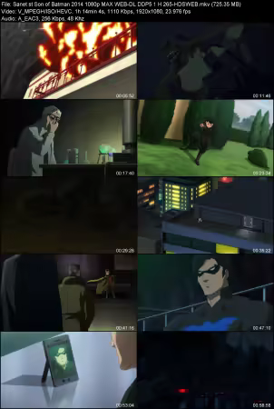 Son of Batman 2014 1080p MAX WEB-DL DDP 5.1 H265-HDSWEB