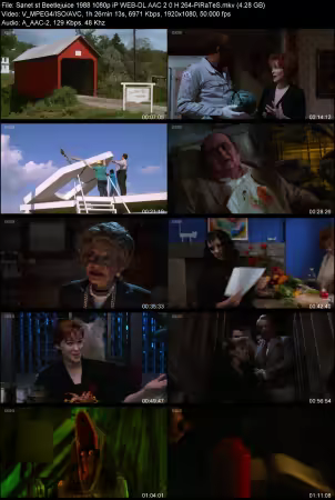 Beetlejuice 1988 1080p iP WEB-DL AAC 2.0 H264-PiRaTeS