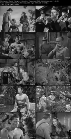 Tarzan Triumphs 1943 720p x264-Classics