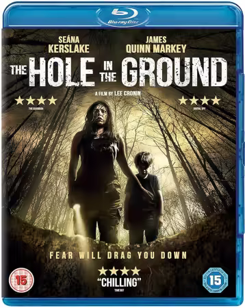 The Hole in the Ground 2019 1080p BluRay x264-OFT