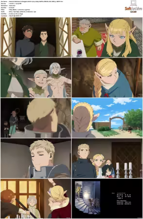 Delicious in Dungeon S01 1080p Netflix WEB-DL x264 DDP 5.1-DBTV