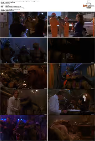 Teenage Mutant Ninja Turtles II The Secret of the Ooze 1991 1080p BDRip DDP5.1 x265-Vialle