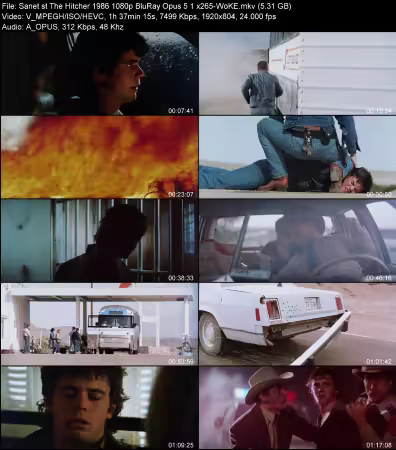 The Hitcher 1986 1080p BluRay Opus 5.1 x265-WoKE