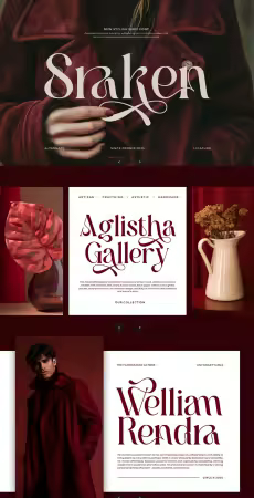 EE - Sraken || Modern Elegant Serif Font EW546BY
