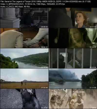 The Legend of Tarzan 2016 1080p AMZN WEB-DL DDP 5.1 H264-HDSWEB