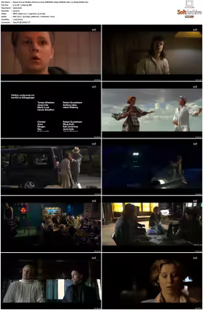 Four Shades of Brown 2004 SWEDiSH 1080p WEB-DL AAC 2.0 H265-WoKE