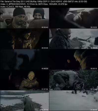 The Grey 2011 UHD BluRay 1080p DDP 5.1 DoVi HDR10 x265-SM737