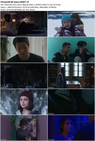 Follow My Voice 2025 2160p 4K WEB 5 1-WORLD