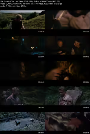 The Lost Viking 2018 1080p BluRay x264-OFT