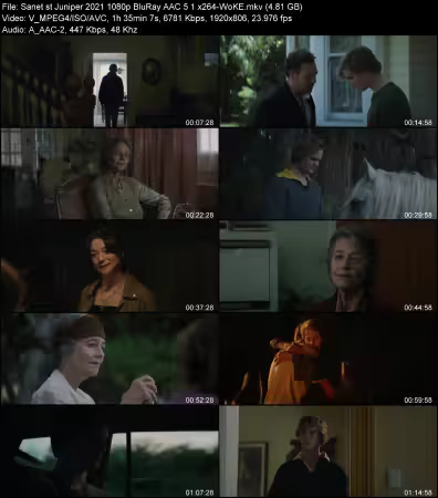 Juniper 2021 1080p BluRay AAC 5.1 x264-WoKE
