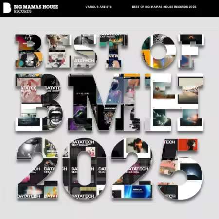 VA - Best of Big Mamas House Records (2025)