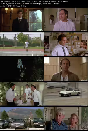 Fletch 1985 1080p SKST WEB-DL DDP 2.0 H264-DarkAngeL