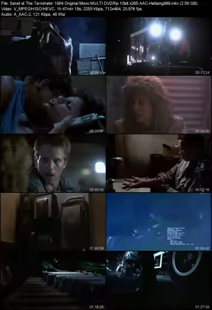 The Terminator 1984 Original Mono MULTI DVDRip 10bit x265 AAC-Hellsing989