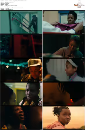 Pariah 2011 1080p BDRip DTS H264-PoPCoRn