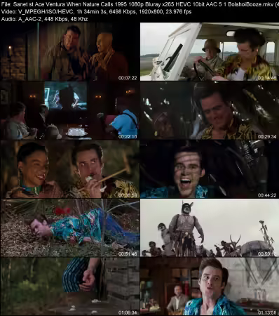 Ace Ventura When Nature Calls 1995 1080p Bluray x265 HEVC 10bit AAC 5.1 BolshoiBooze