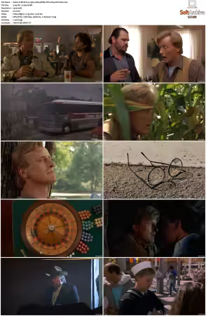 Blind Fury 1989 1080p BDRip DTS H264-PoPCoRn