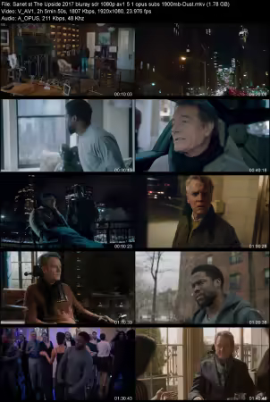 The Upside 2017 BluRay SDR 1080p AV1 5.1 opus subs -Dust