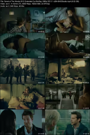 The Words 2012 Extended Cut BluRay 1080p DD 5.1 x264-BHDStudio