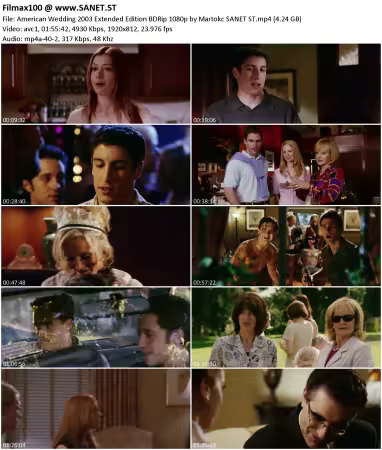 American Wedding 2003 Extended Edition BDRip 1080p by Martokc