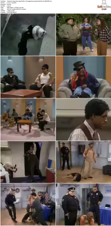 In Living Color 1990 S01-S05 480p H265 AAC 2CH-MNKYDDL