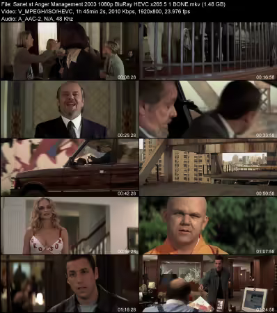Anger Management 2003 1080p BluRay HEVC x265 5.1 BONE