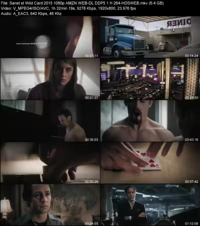 Wild Card 2015 1080p AMZN WEB-DL DDP 5.1 H264-HDSWEB