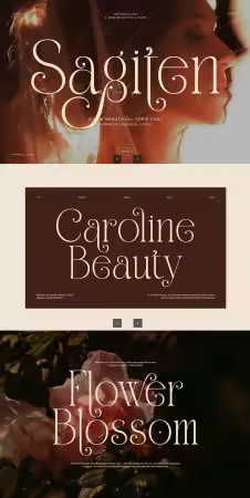 EE - Sagiten Elegant Display Serif Font 9SWLLBX