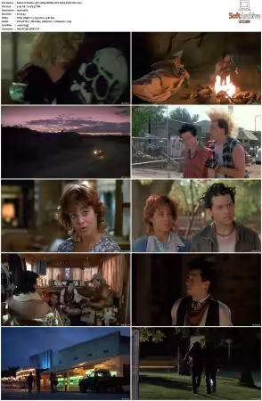 Dudes 1987 1080p BDRip DTS H264-PoPCoRn