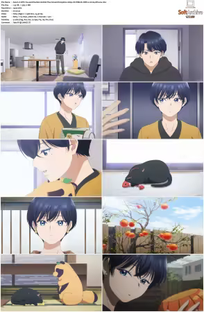 With You and the Rain S01 1080p CR WEB-DL DDP2.0 H264-Kitsune