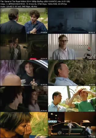 The Road Within 2014 1080p BluRay x265-YAWNTiC