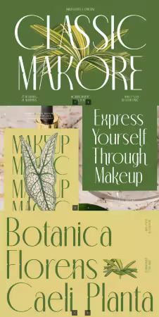 EE - Classic Makore - Modern Display Serif Font WRFWKS6