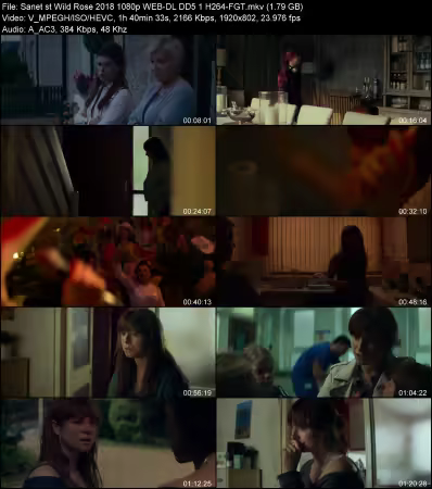 Wild Rose 2018 1080p WEB-DL DD 5.1 H264-FGT