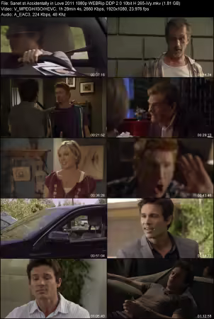 Accidentally in Love 2011 1080p WEBRip DDP 2.0 10bit H265-iVy