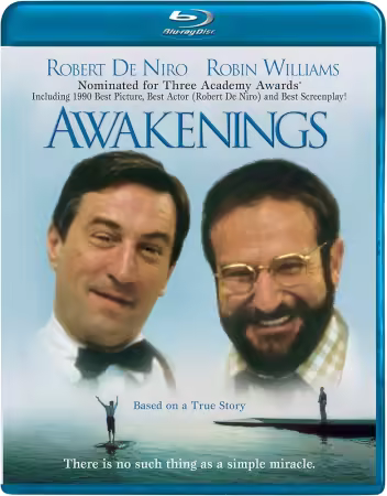 Awakenings 1990 UHD BluRay 1080p DD Atmos 5.1 DoVi HDR10 x265-SM737