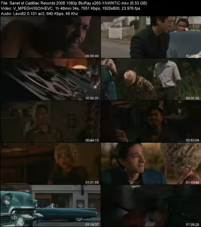 Cadillac Records 2008 1080p BluRay x265-YAWNTiC
