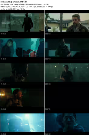 The Rip 2026 1080p WEBRip x265-DH