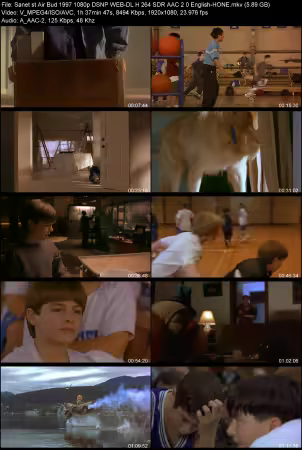 Air Bud 1997 1080p DSNP WEB-DL H 264 SDR AAC 2.0 English-HONE