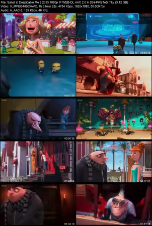 Despicable Me 2 2013 1080p iP WEB-DL AAC 2.0 H264-PiRaTeS