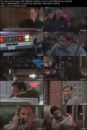 The Fugitive 1993 1080p MY5 WEB-DL AAC 2.0 H264-PiRaTeS