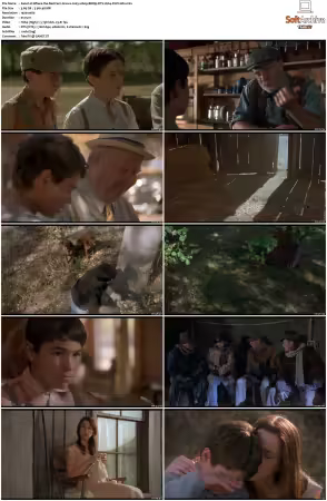 Where the Red Fern Grows 2003 1080p BDRip DTS H264-PoPCoRn