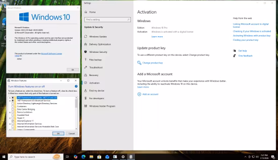 Windows 10 Pro 22H2 build 19045.6809 Preactivated Multilingual January 2026