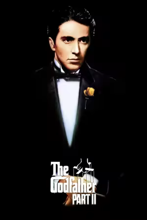 The Godfather Part II 1974 1080p ROKU WEB-DL DD 5.1 H264-PiRaTeS