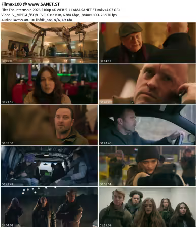 The Internship 2026 2160p 4K WEB 5.1-LAMA