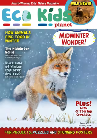 Eco Kids Planet Magazine - issue 135, January 2026
