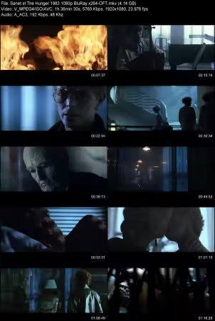 The Hunger 1983 1080p BluRay x264-OFT